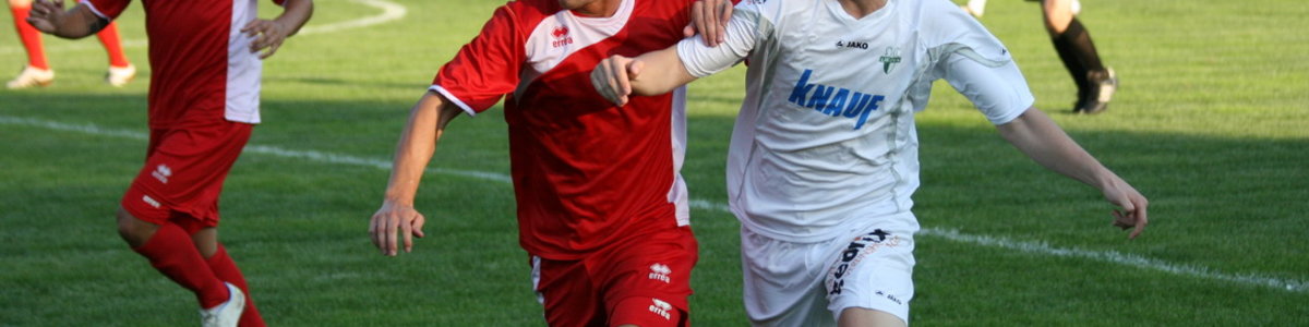 Auf Augenhöhe Auf Augenhöhe