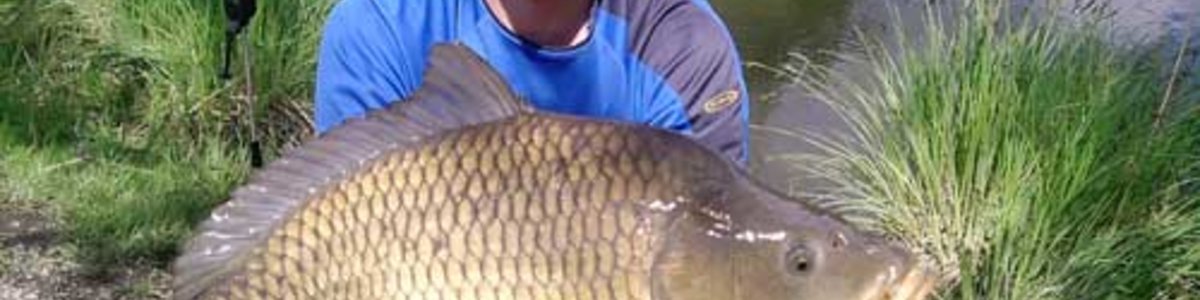 Willkommen daheim, Roli Kral! Willkommen daheim, Roli Kral!