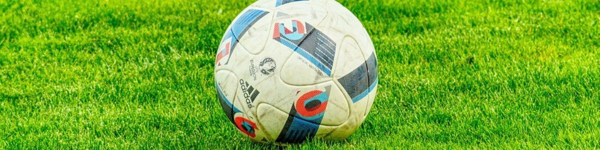 Es schaut gut aus! Es schaut gut aus!