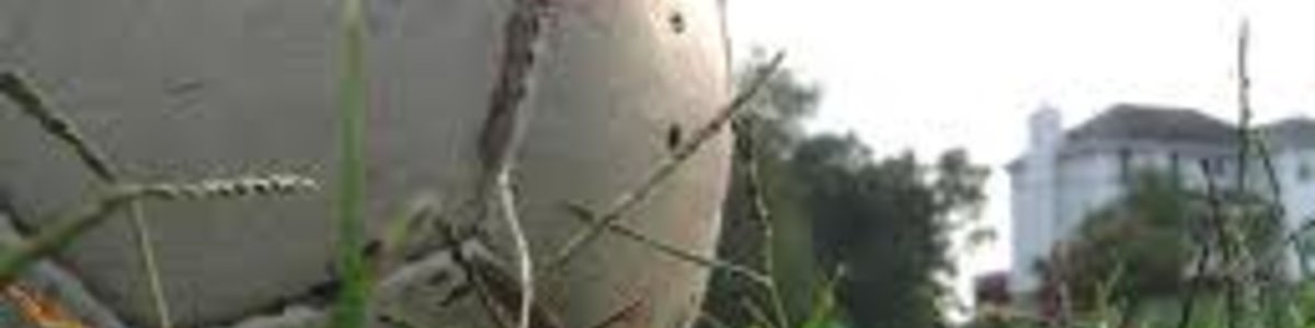 1:2 im letzten Test gegen Zeltweg 1:2 im letzten Test gegen Zeltweg