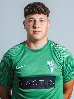 Dominik Hammer