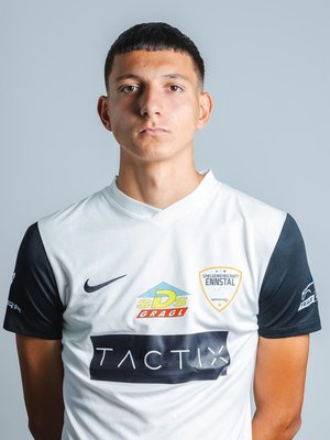 Emil Hodzic