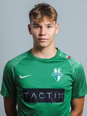 Karlo Polanec