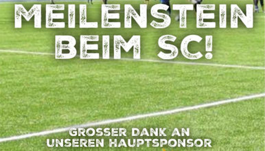 meilenstein-sc meilenstein-sc